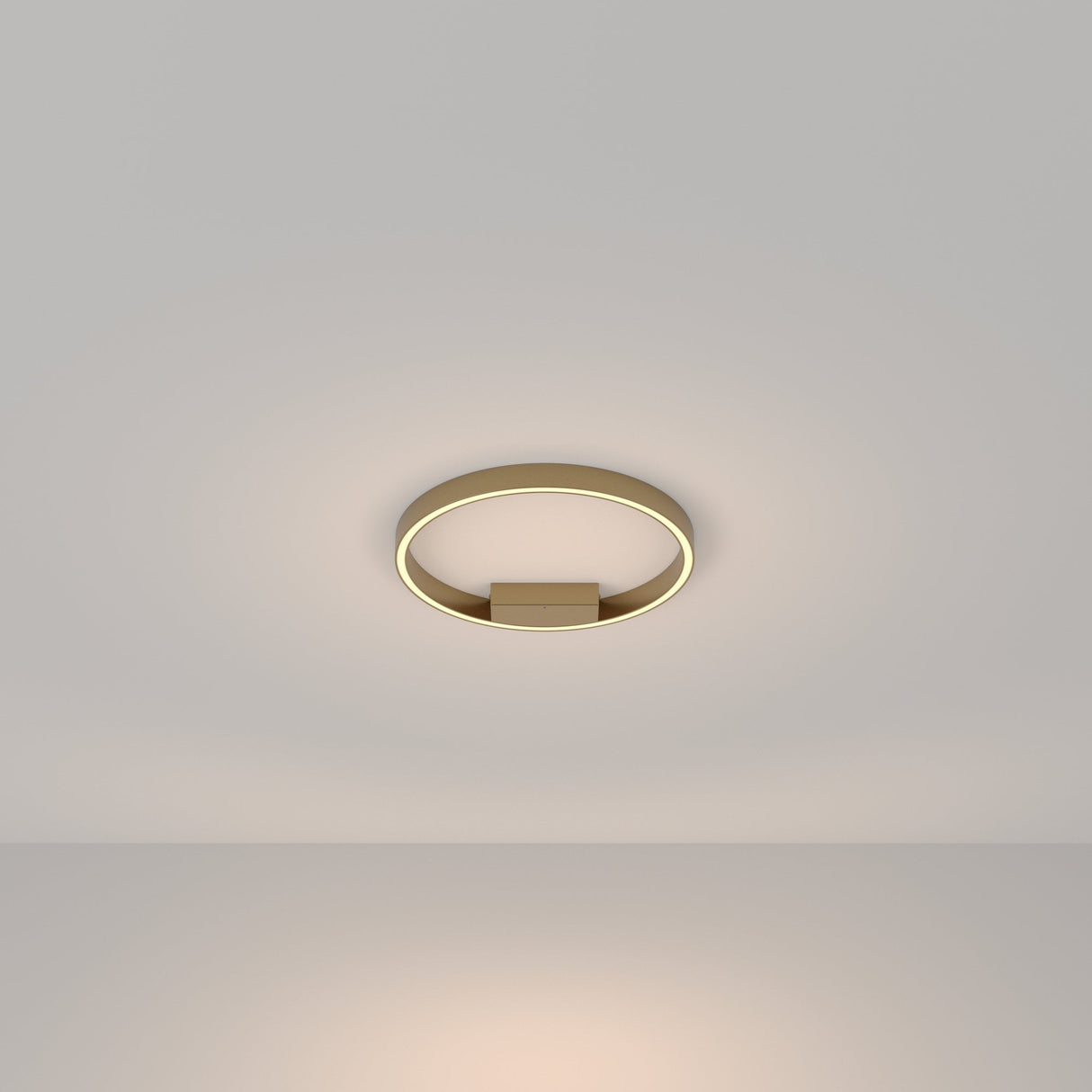 Contemporary Brass Rim Ceiling Light Fixture