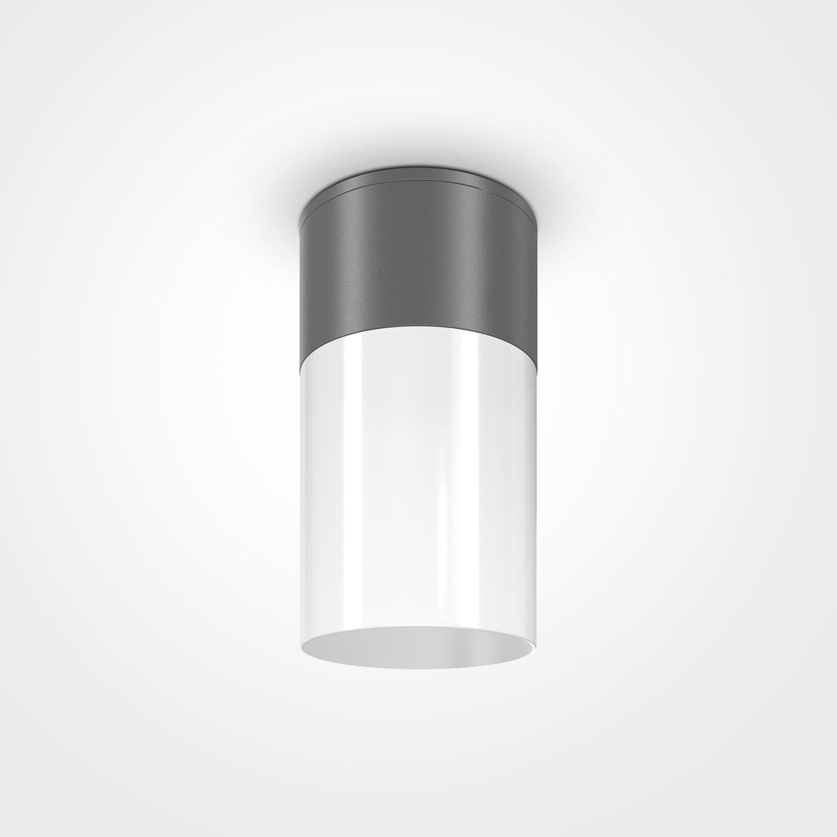 Graphite Outdoor Ceiling Lamp - Willis Collection