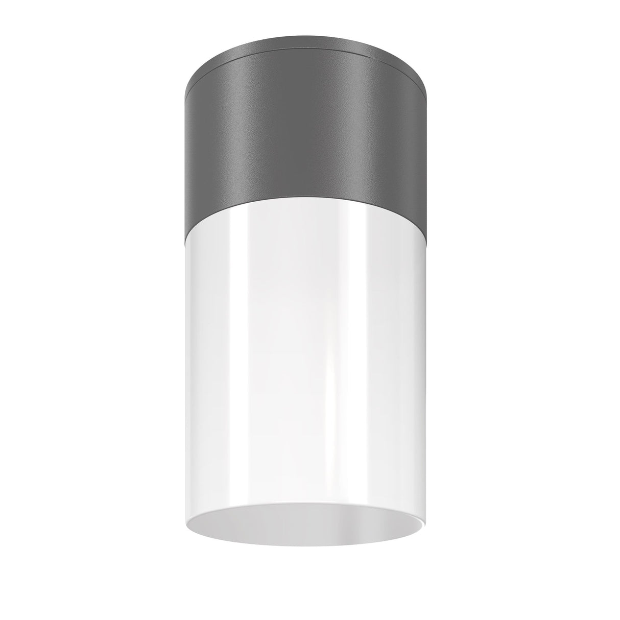 Graphite Outdoor Ceiling Lamp - Willis Collection