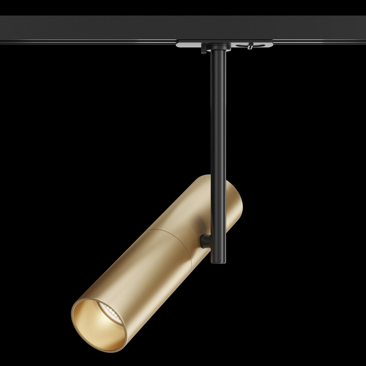 Elegant Black and Gold Elti Track Lighting with Swivel Adjustment