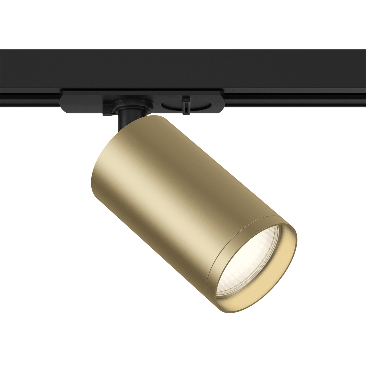 UNITY Focus S Track Lighting in Sleek Black and Elegant Matt Gold