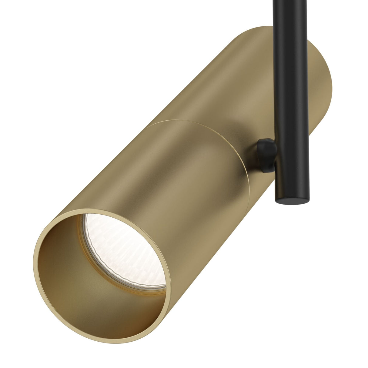 Contemporary Black and Gold Elti Adjustable Ceiling Lamp