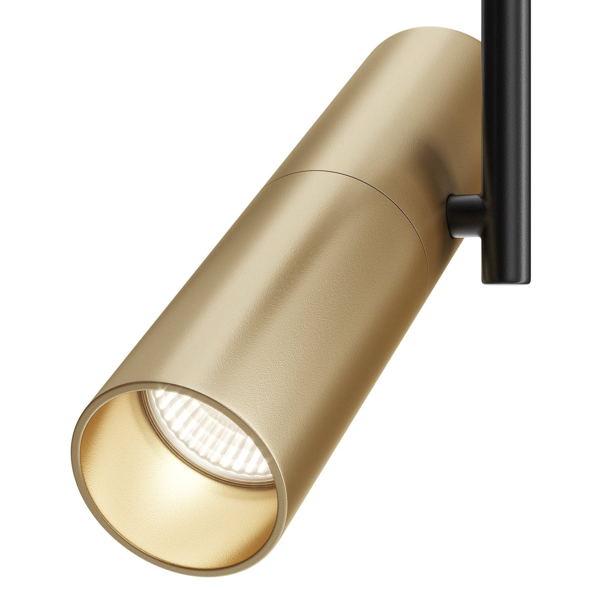 Contemporary Black and Gold Elti Adjustable Ceiling Lamp