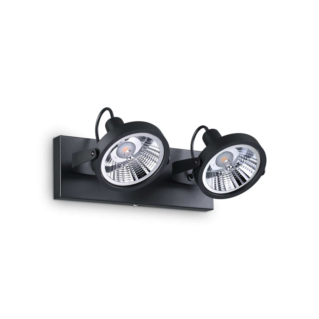 Elegant Dual-Bulb Black Flush Light Fixture