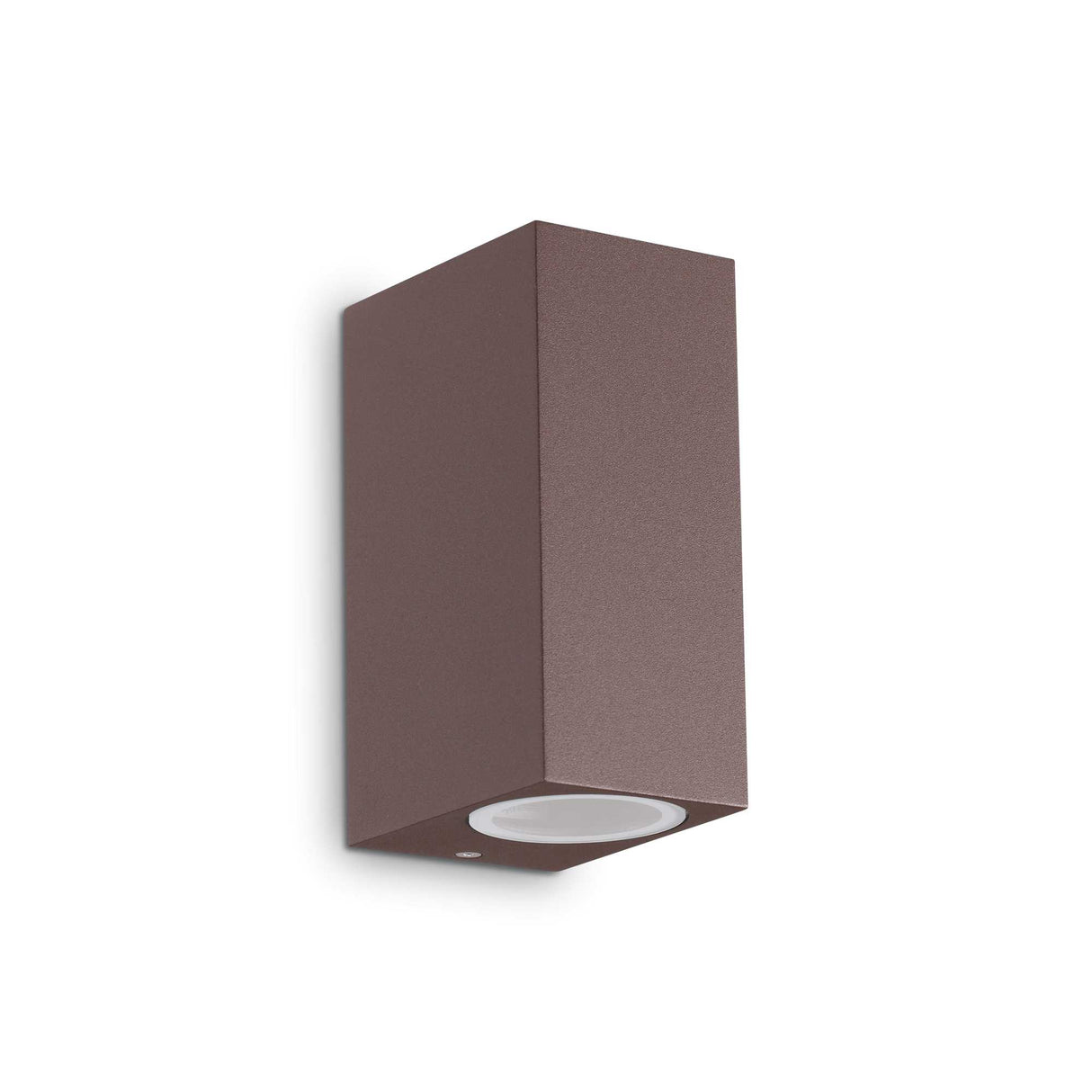 Contemporary Dual Bulb Coffee Wall Sconce