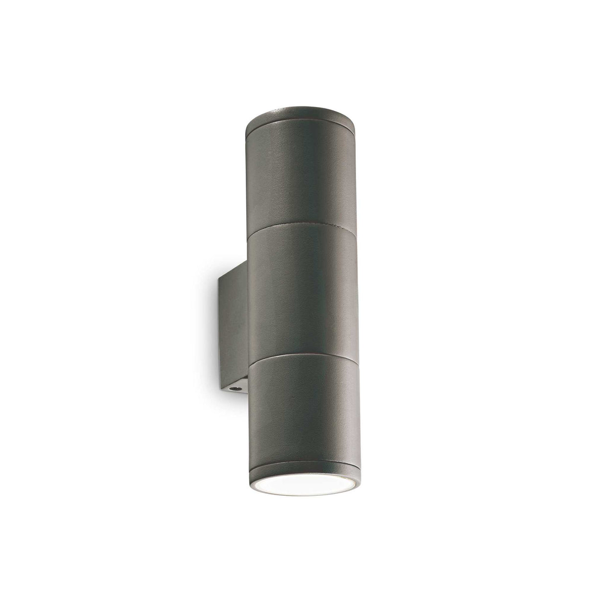 Dual-Bulb Anthracite Wall Light in Gunmetal Finish
