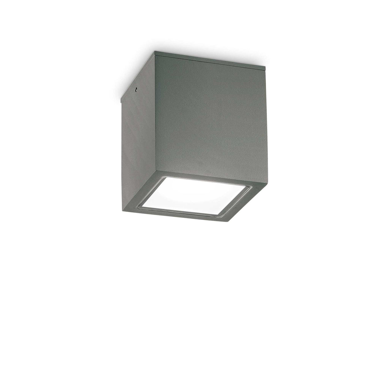 Anthracite Modern Flush Ceiling Light with Single Bulb