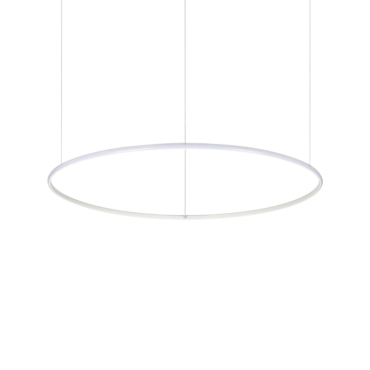 Circular Halo Pendant Light D100