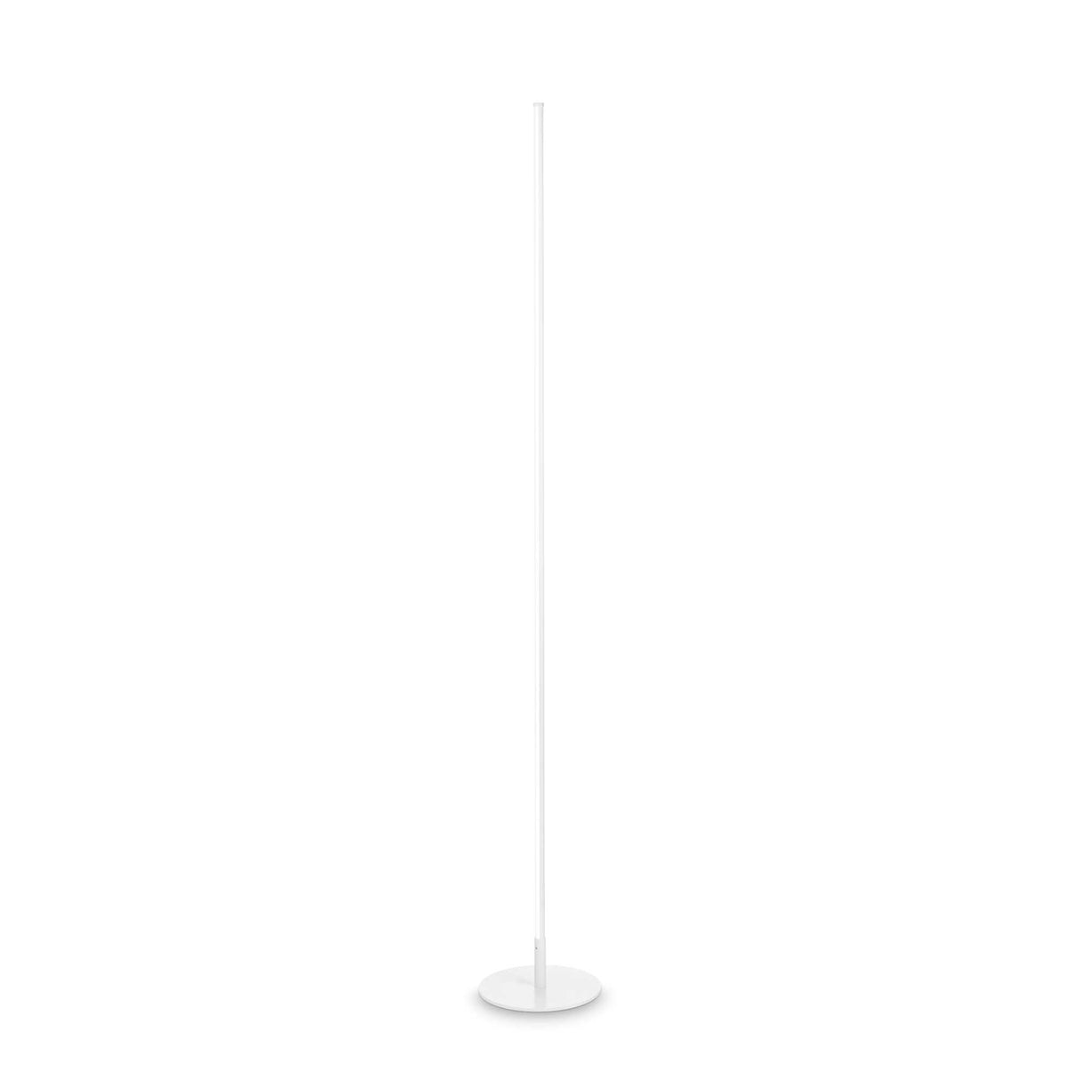 White Elegance Table Lamp