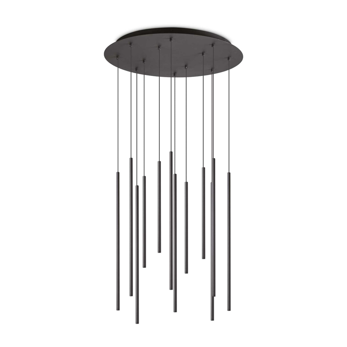 Black Filo Suspension Light with Twelve Bulbs