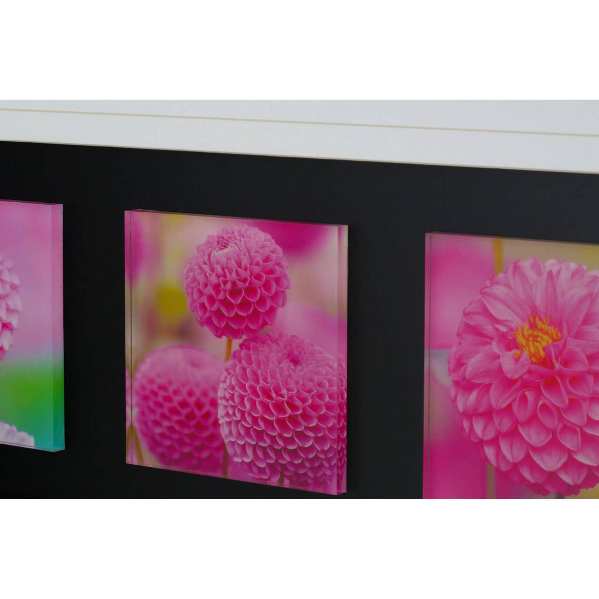 Pink Floral Colour Glass Triple Wall Art