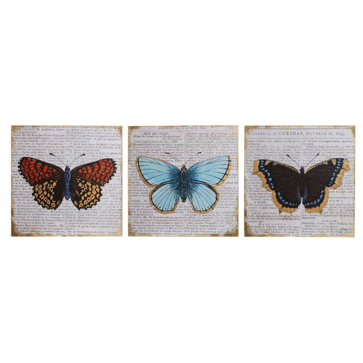 Butterfly Wall Plaque - Set Of 3