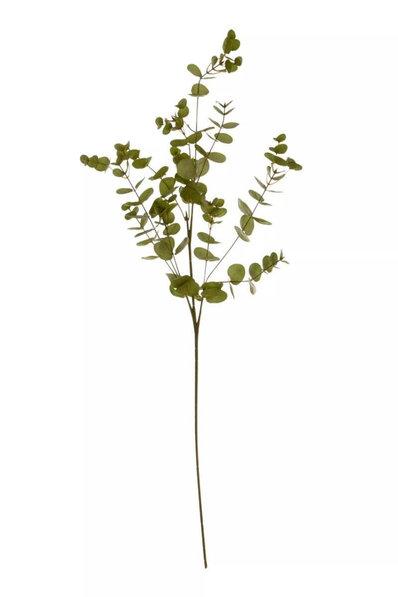 Fiori Green Eucalyptus Spray Stem