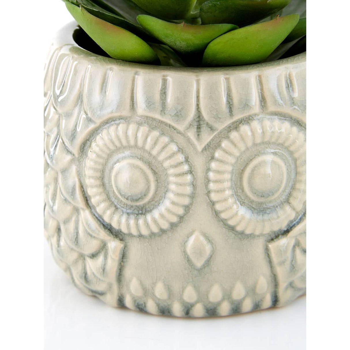 Fiori Large Succulent In Grey Ceramic Owl Pot