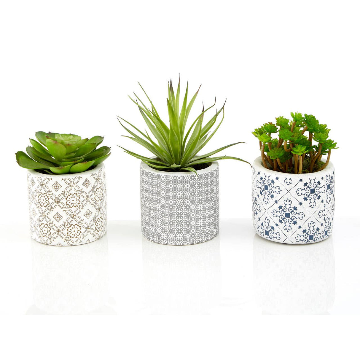 Fiori Set Of 3 Succulents In Henna Ceramic Pots