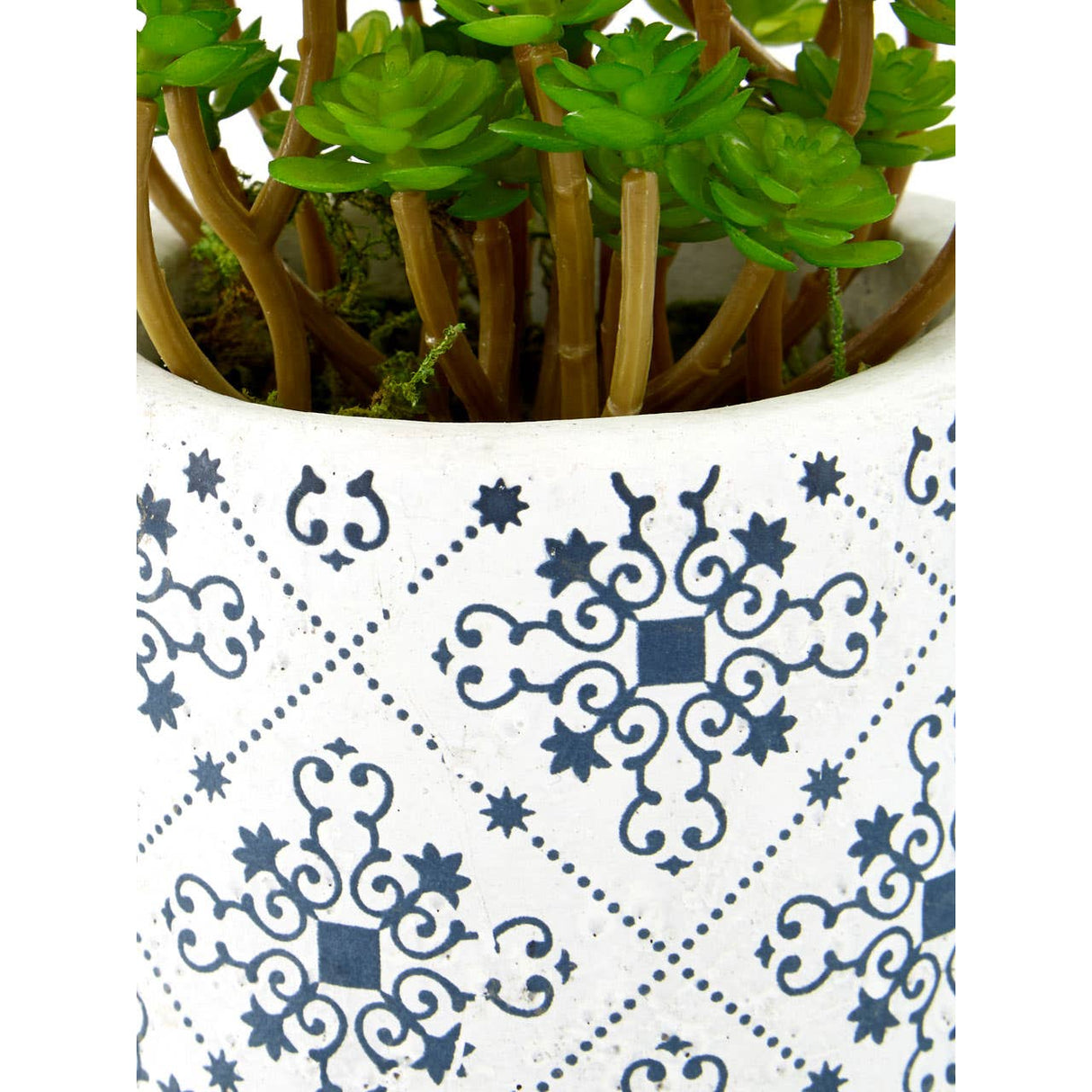 Fiori Set Of 3 Succulents In Henna Ceramic Pots