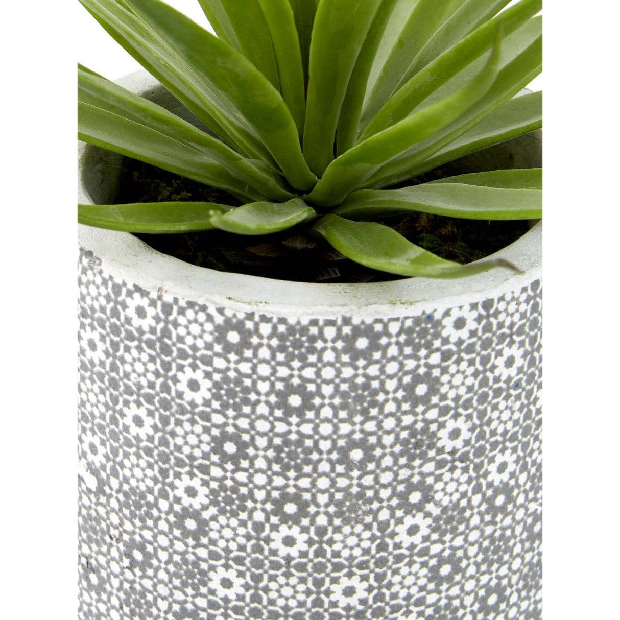 Fiori Set Of 3 Succulents In Henna Ceramic Pots