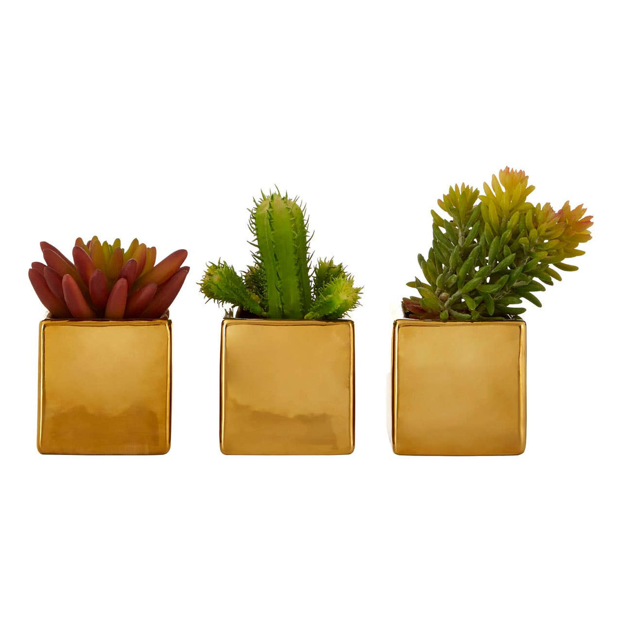 Mini Succulents Fiori With Gold Pot - Set Of 3