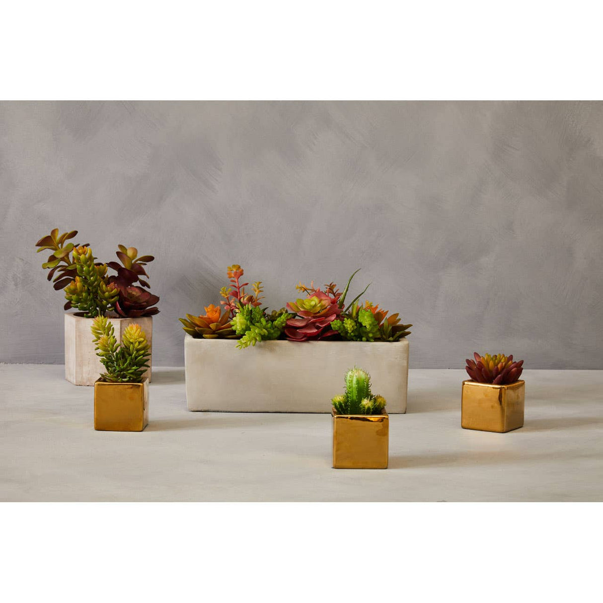 Mini Succulents Fiori With Gold Pot - Set Of 3