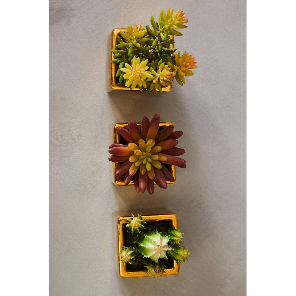 Mini Succulents Fiori With Gold Pot - Set Of 3