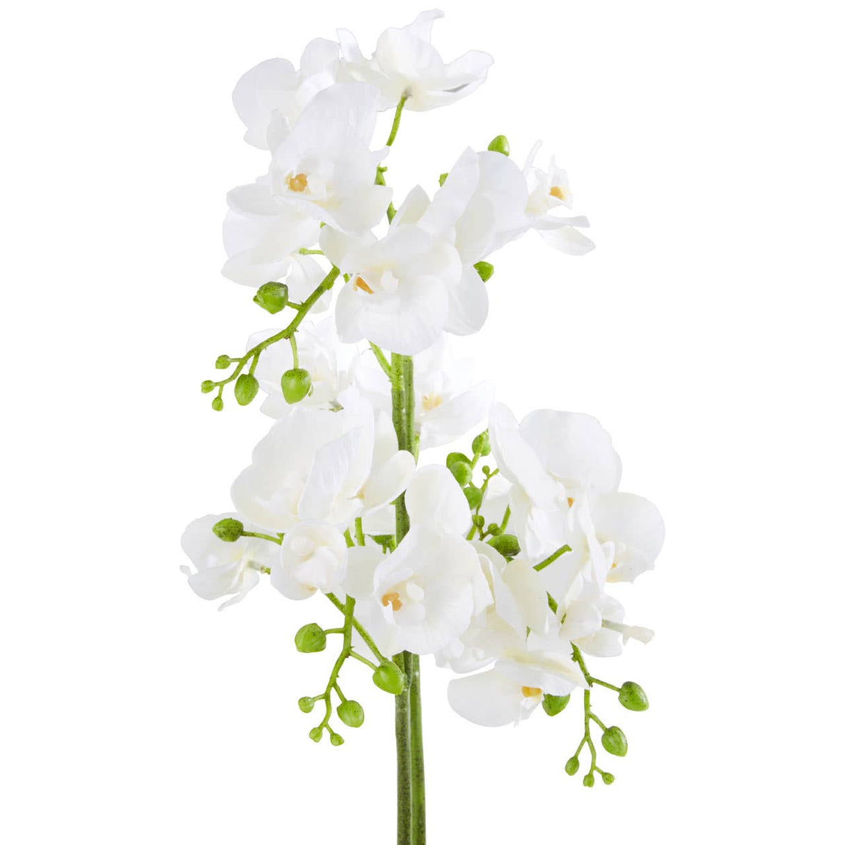 Fiori White Orchid Plant / Silver Finish Pot