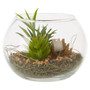 Fiori Small Glass Pot Mixed Succulent