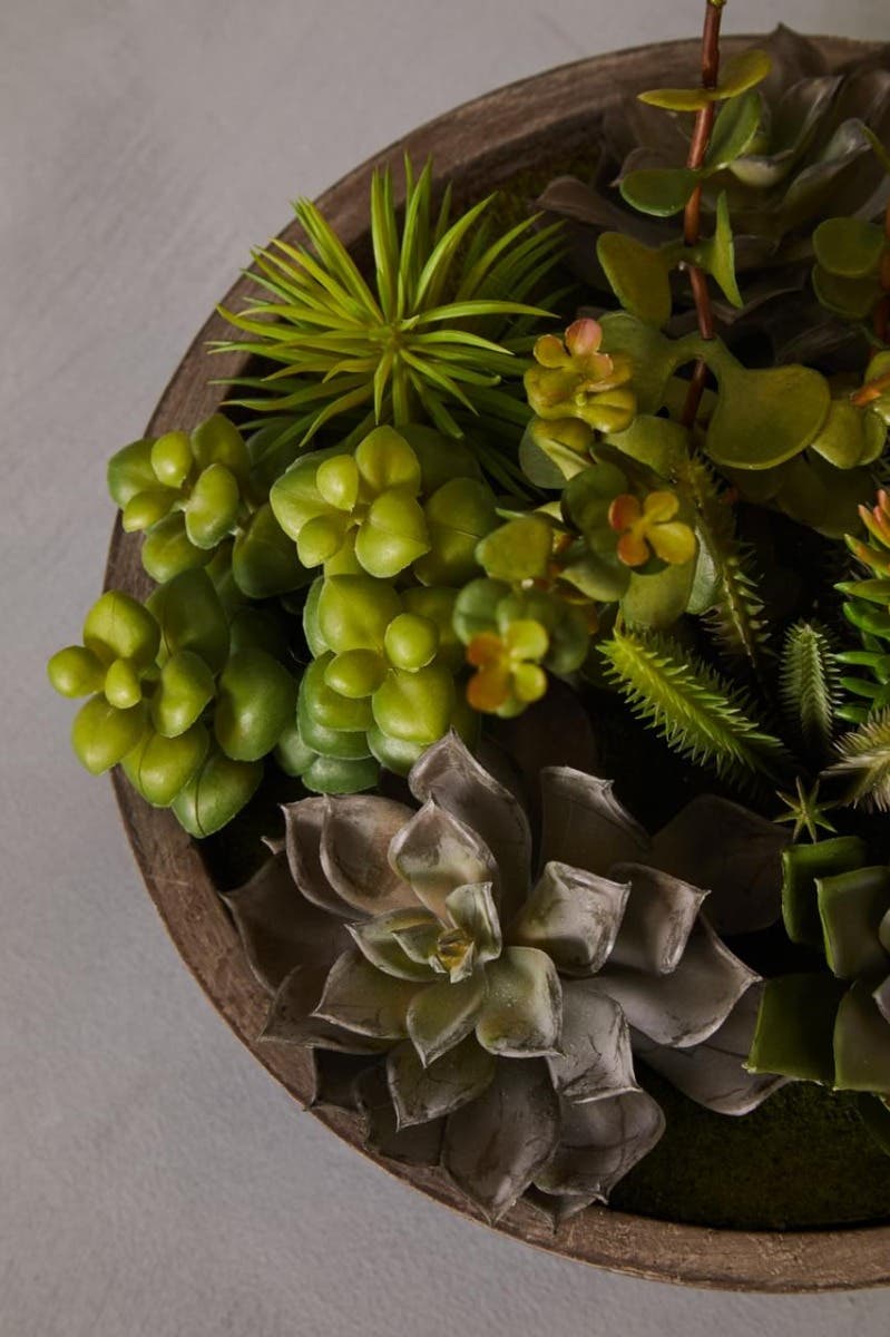 Fiori Stone Effect Pot Mixed Succulent