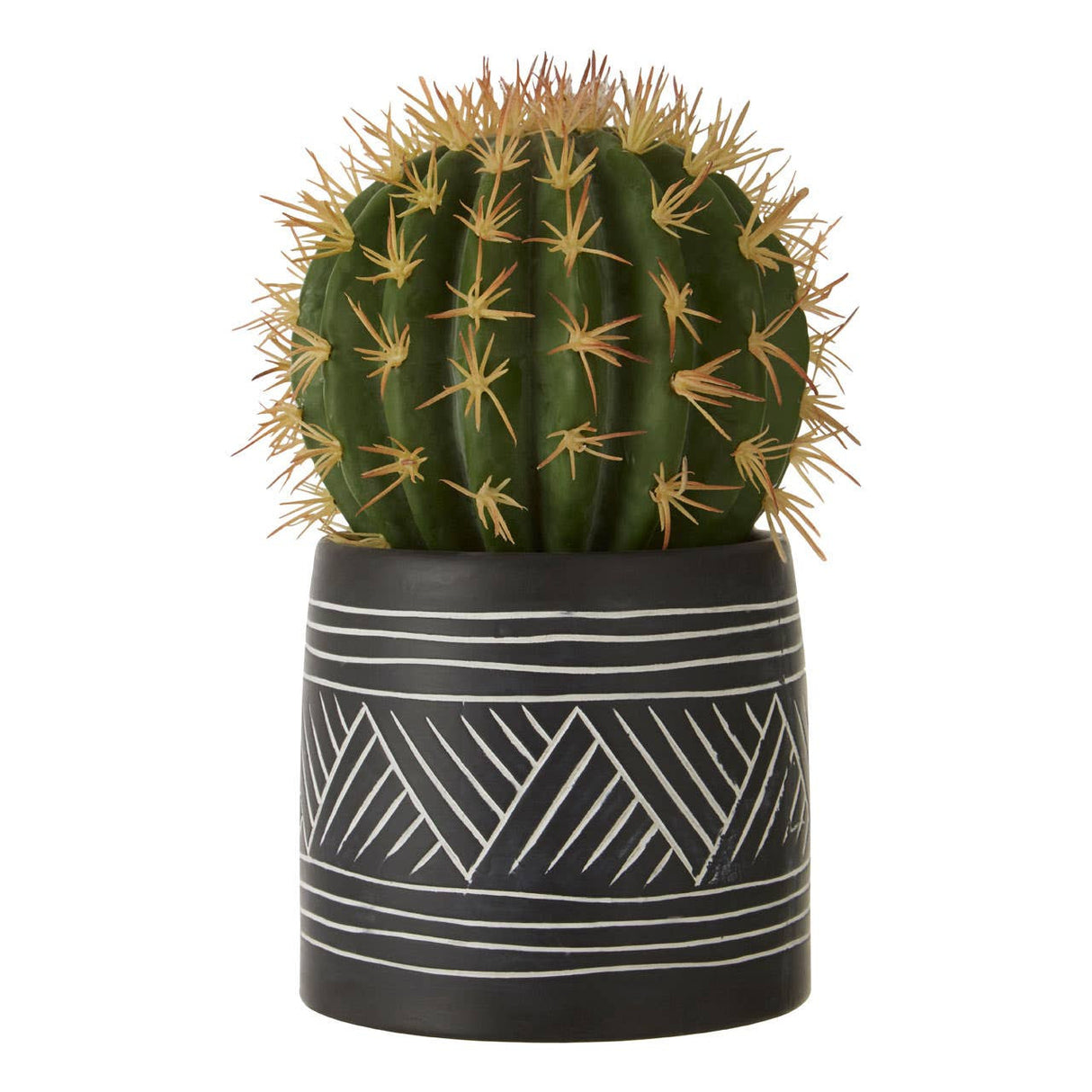 Fiori Cactus Succulent