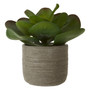 Fiori Lotus Succulent