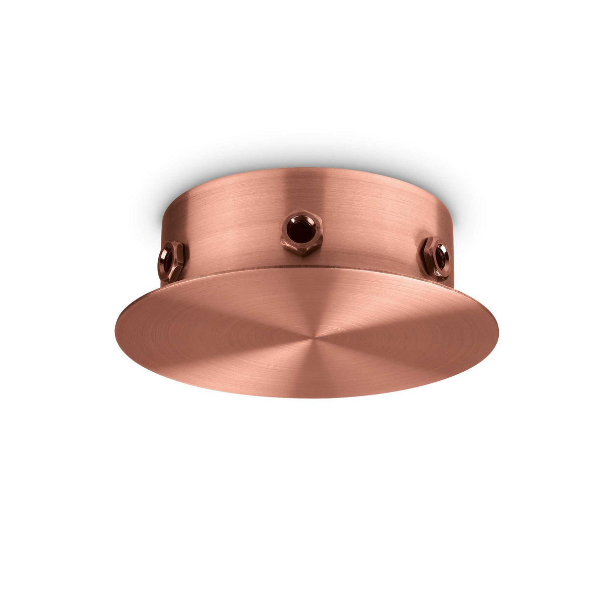 Magnetic Copper Rosette 6-Light Fixture