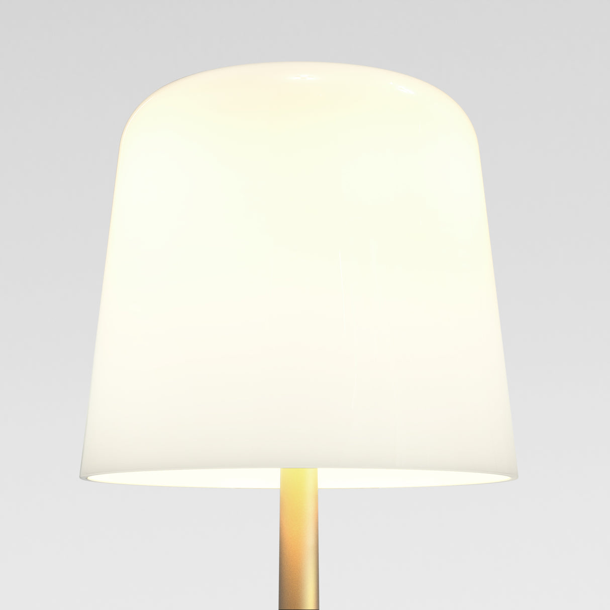 Ella Light Bronze Table Lamp with Modern Elegant Design