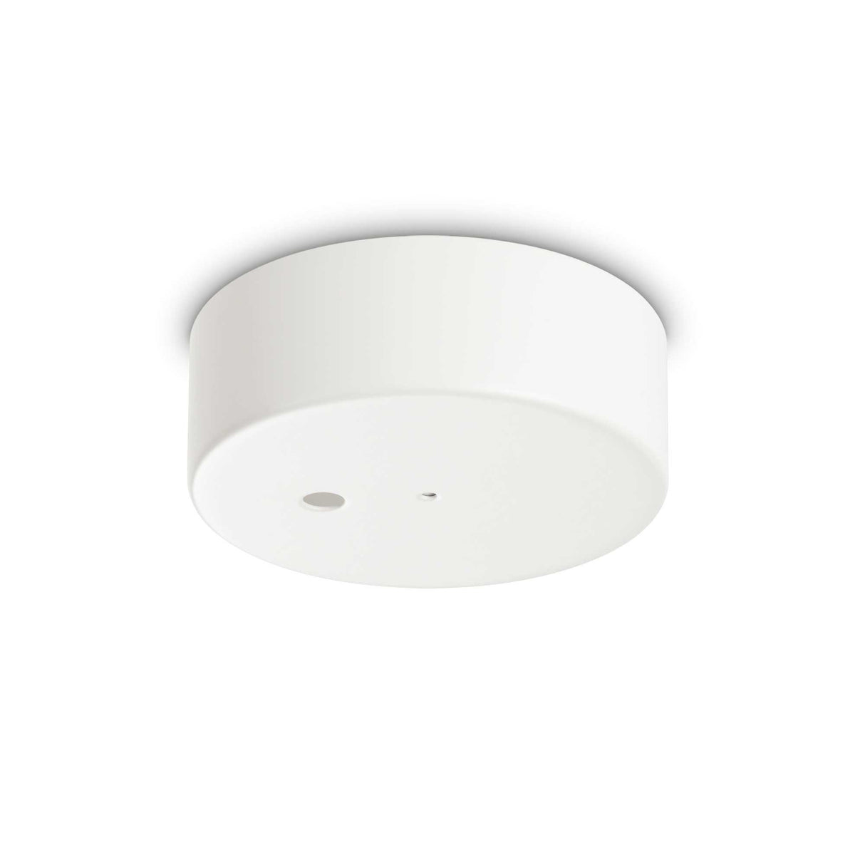 Magnetic Rosette Single Light 1E 1M in White