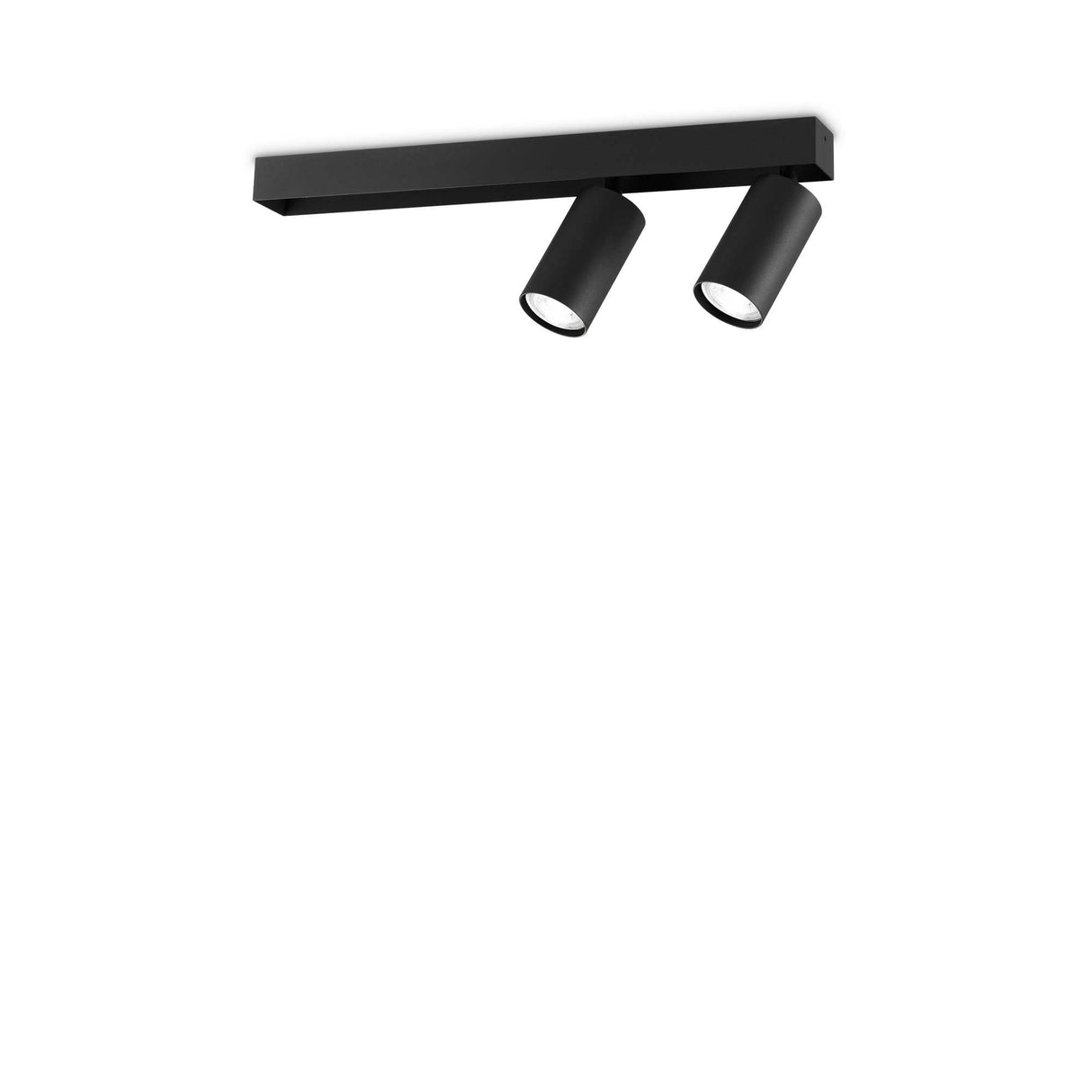 Sleek Black Dual-Light Ceiling Fixture