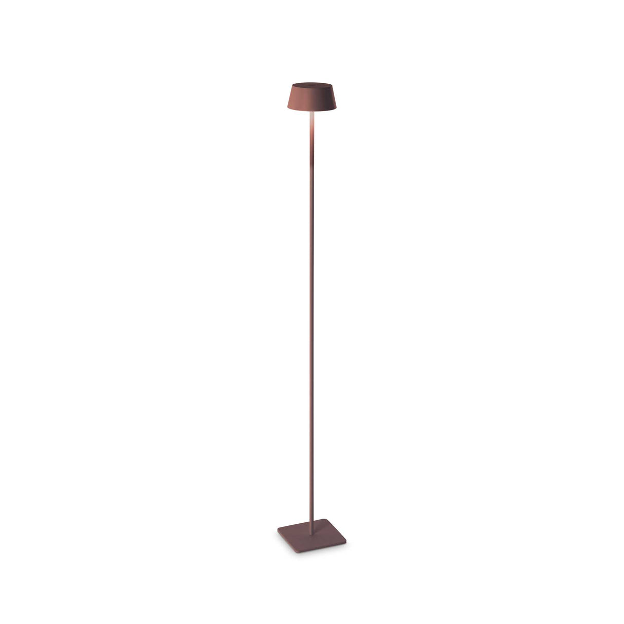 PURE Essence Coffee Lamp