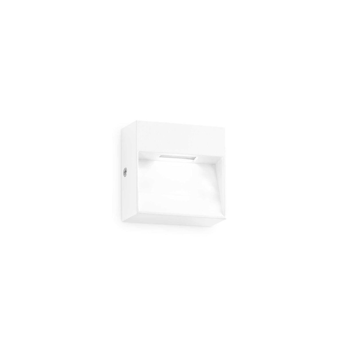 Luminous Elegance: DEDRA White Wall Sconce