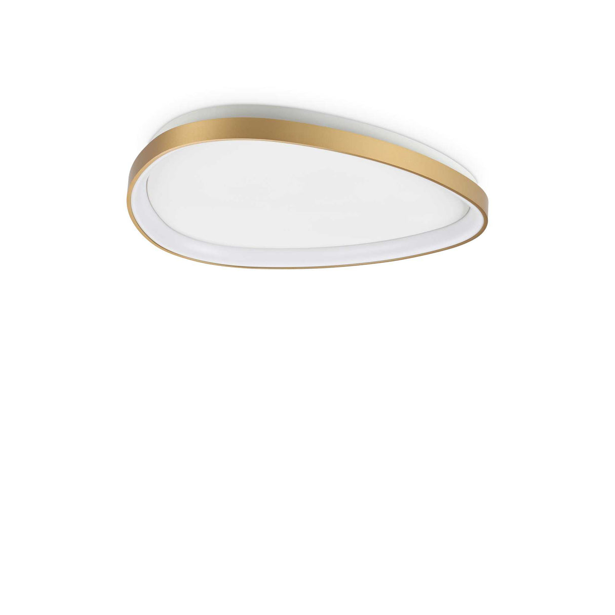 Brass GEMINI Flush Light DALI/PUSH Technology