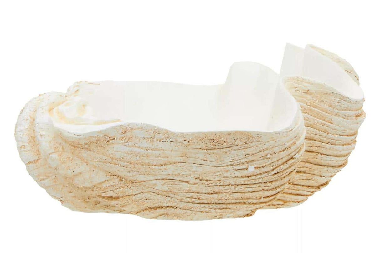 Byron Large Clam Shell Bowl