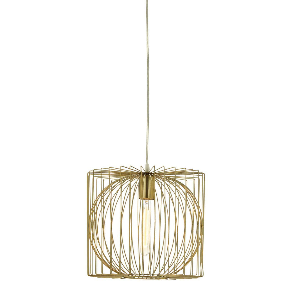 Aselo Gold Finish Pendant Lamp