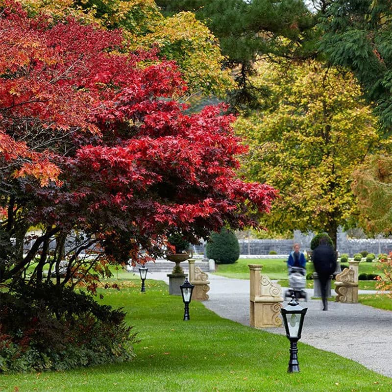 Victorian traditional cast iron pedestal light 1.1m (H008)
