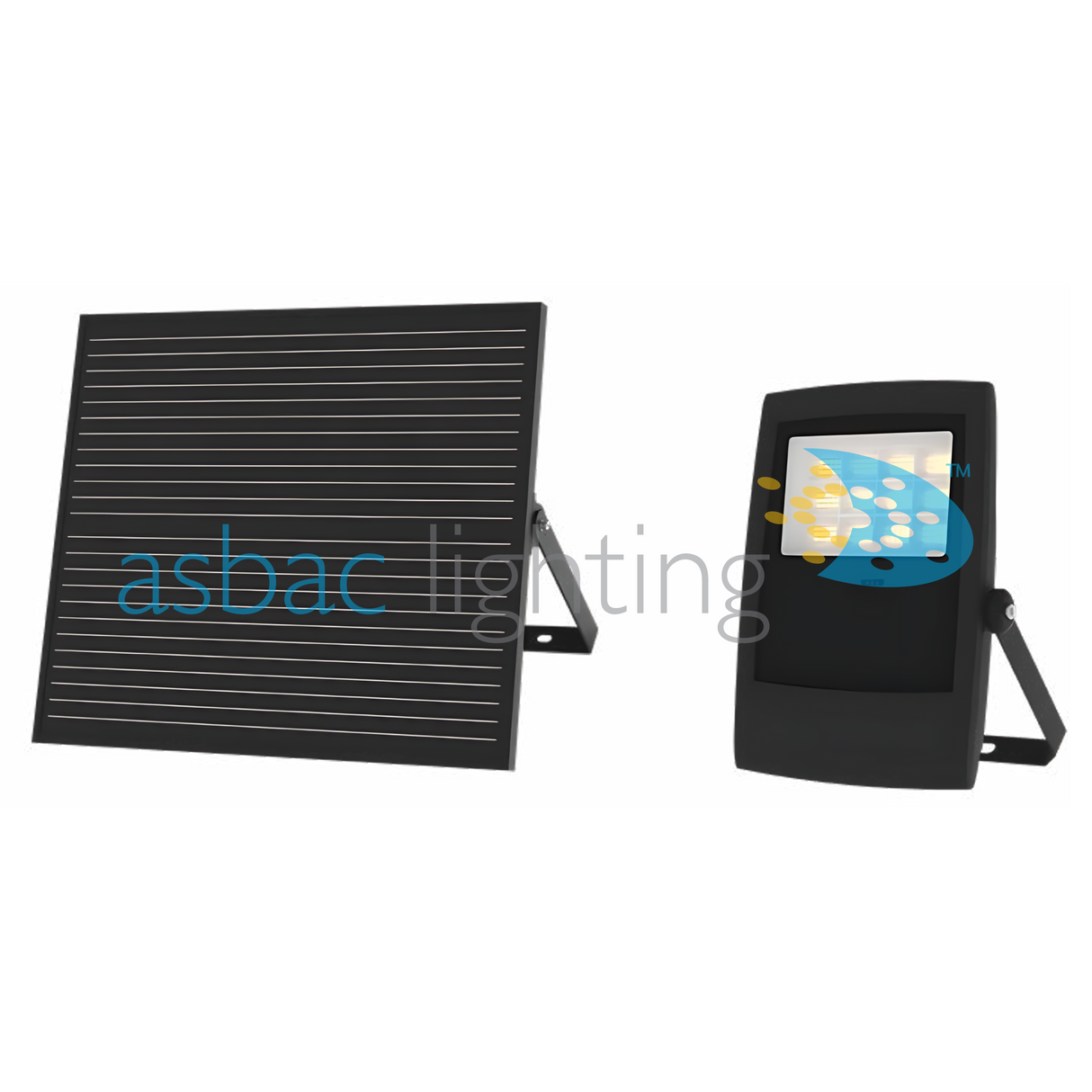 Greenwich Solar 30W LED 4000K, 55W Solar Panel, Solar Flood Light, Black