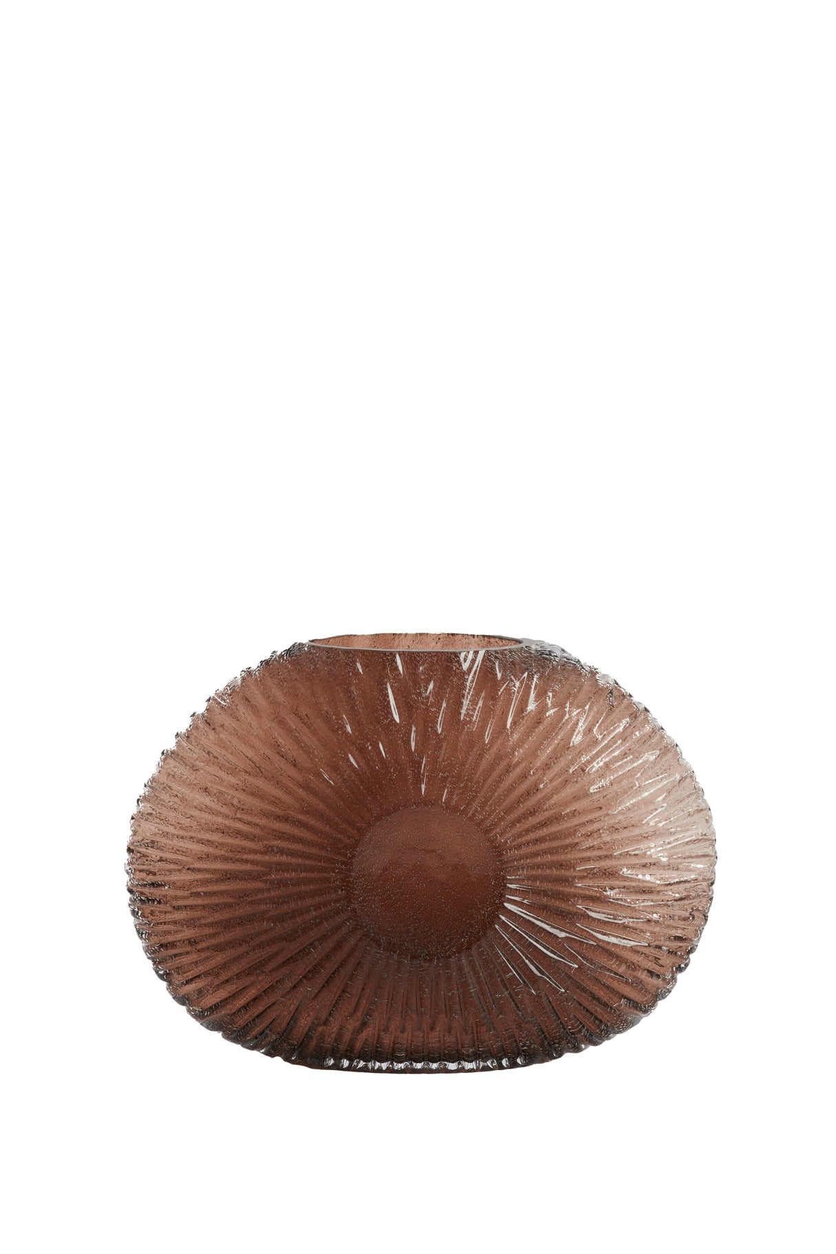 Dark Brown Concha Shell Vase 32.5x10x24 cm