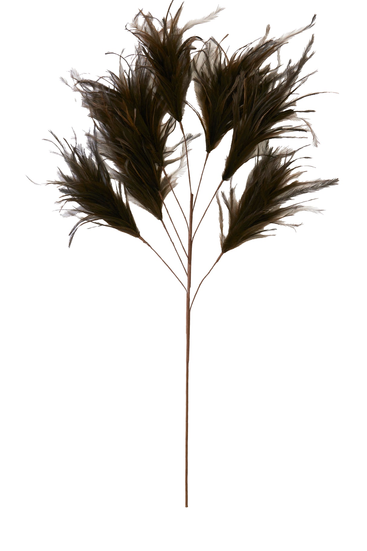 Dark Brown Feather Ornament - 95 cm Décor Piece