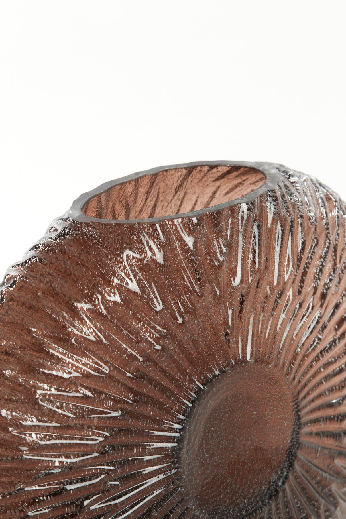 Elegant Dark Brown Conch Vase - Dimensions 40.5x11x30.5 cm