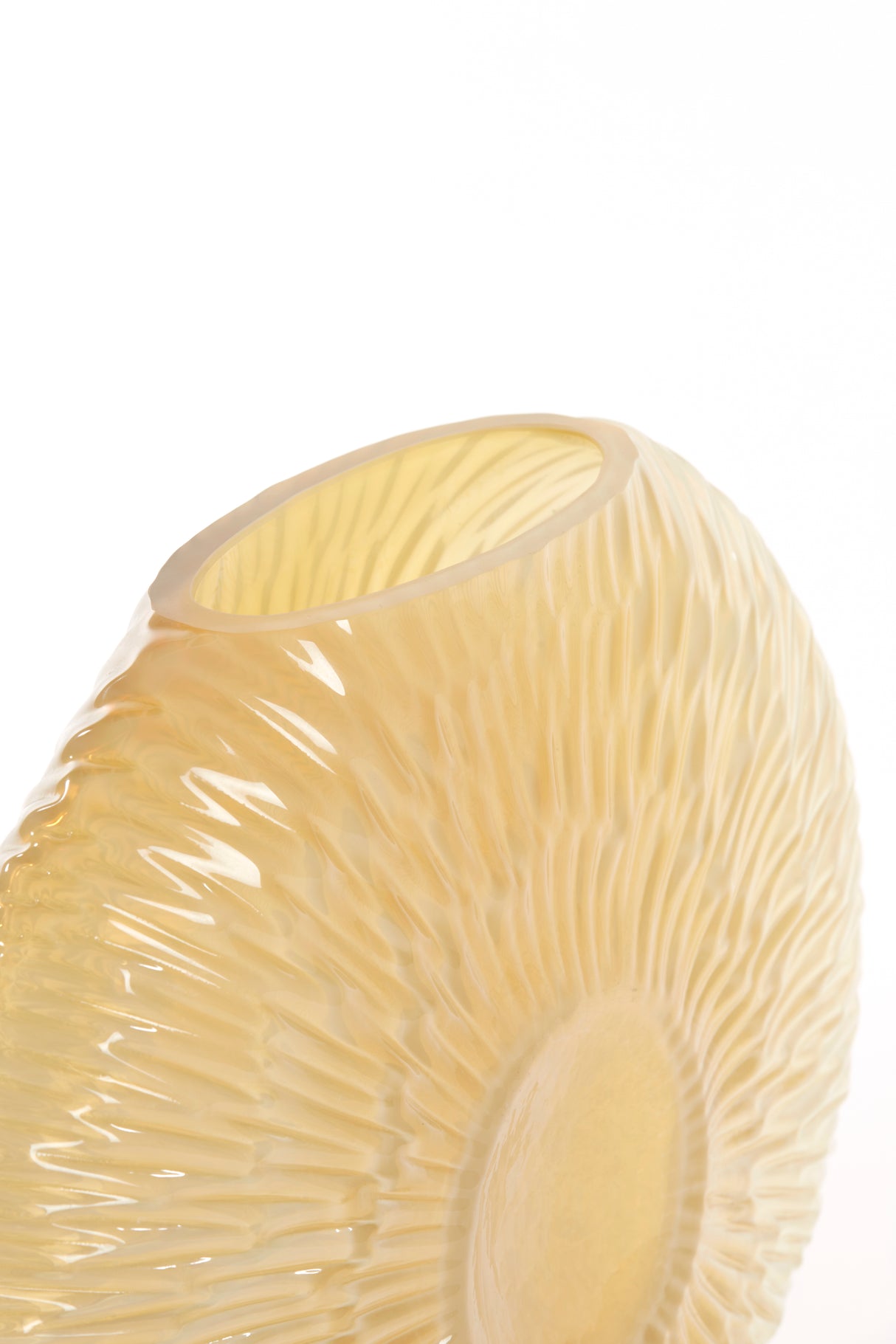 Sunlit Seashell Vase - 32.5x10x24 cm in Soft Yellow