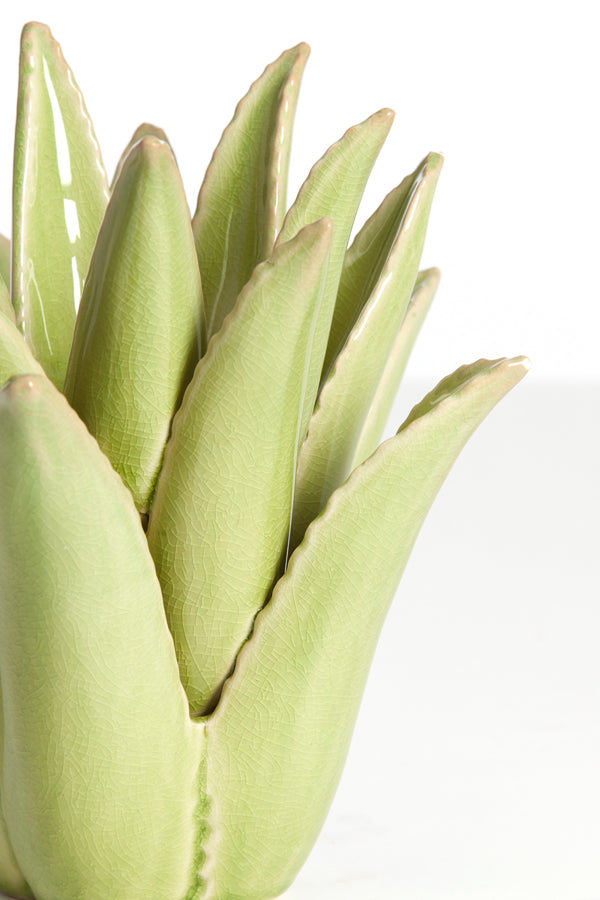 Cactus-Inspired Ceramic Candle Holder in Soft Green, Ø11.5x11.5 cm