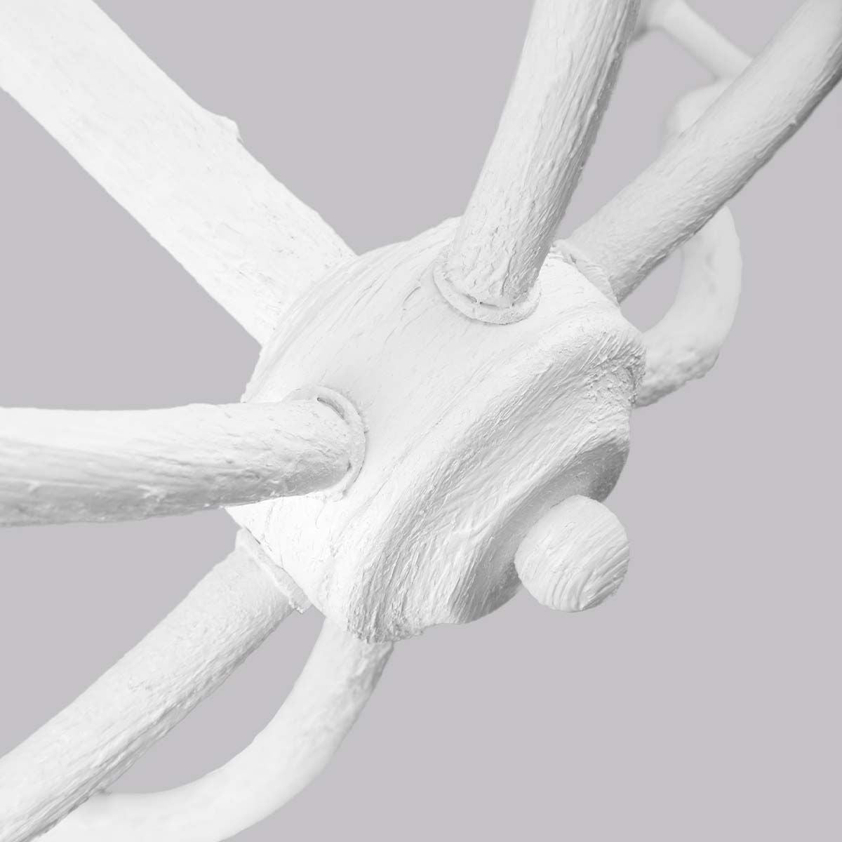 Coastal Elegance 6 Light Chandelier in Plaster White
