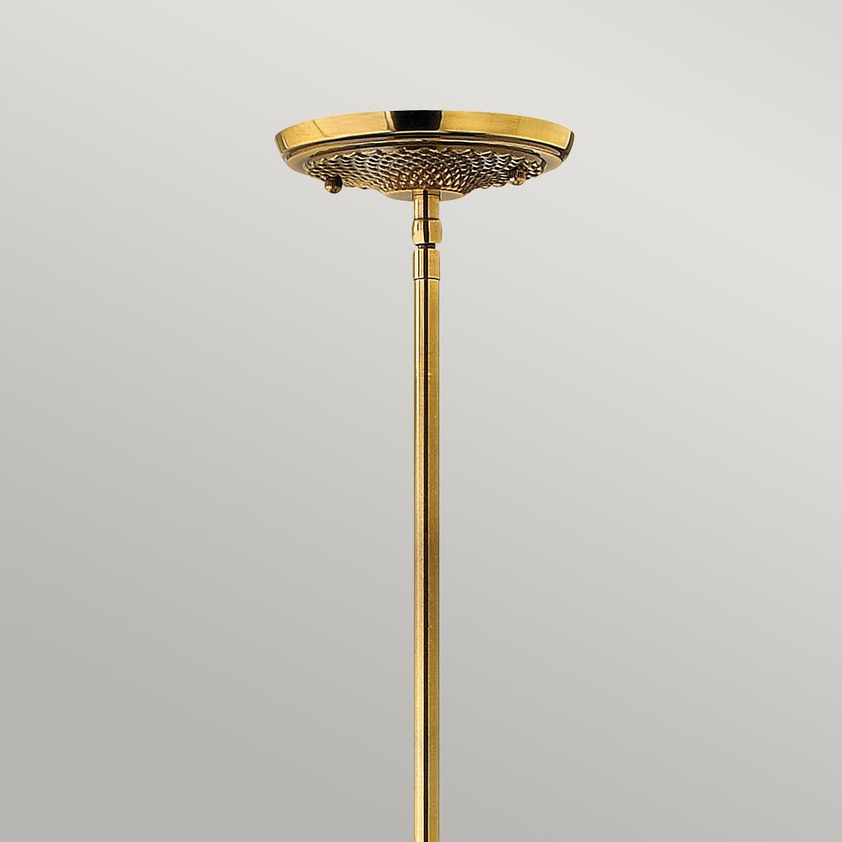 Gilded Tropics 1 Light Pendant