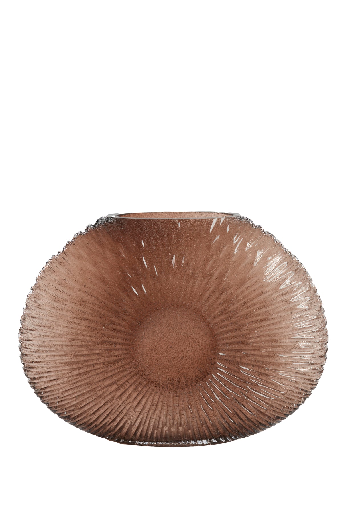 Elegant Dark Brown Conch Vase - Dimensions 40.5x11x30.5 cm