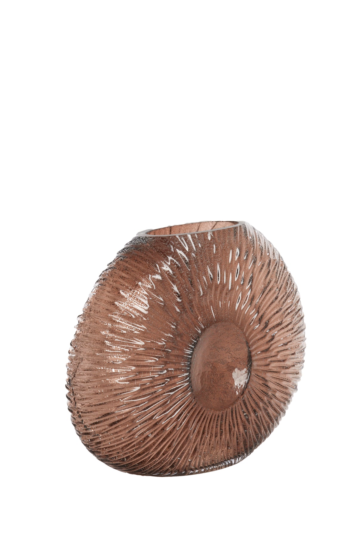 Elegant Dark Brown Conch Vase - Dimensions 40.5x11x30.5 cm