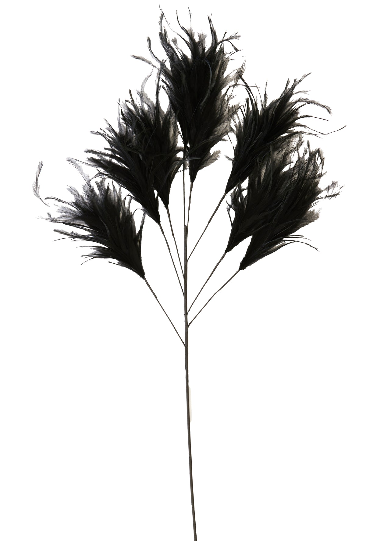 Feathered Elegance: Black Ornament with 8 Feathers, 95 cm